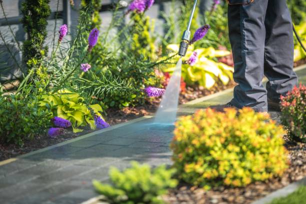 Best Fence Cleaning  in Squirrel Mountain Valley, CA