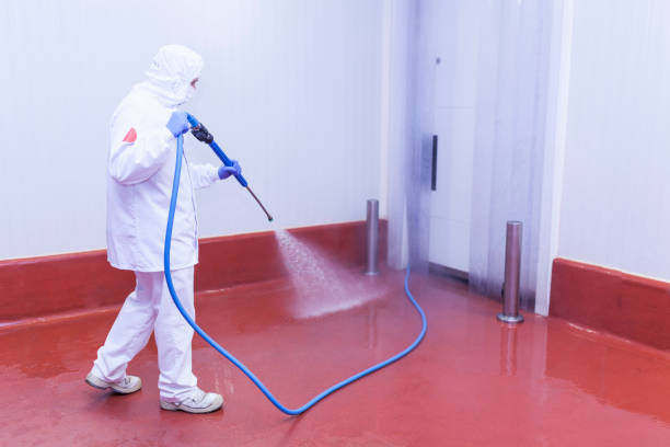 Best Post-Construction Pressure Washing  in Squirrel Mountain Valley, CA