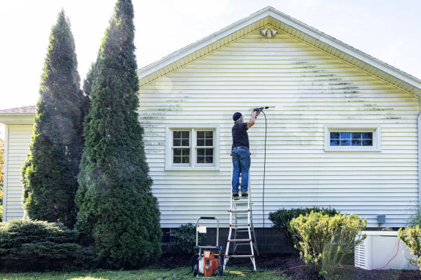 Best Gutter Cleaning  in Squirrel Mountain Valley, CA